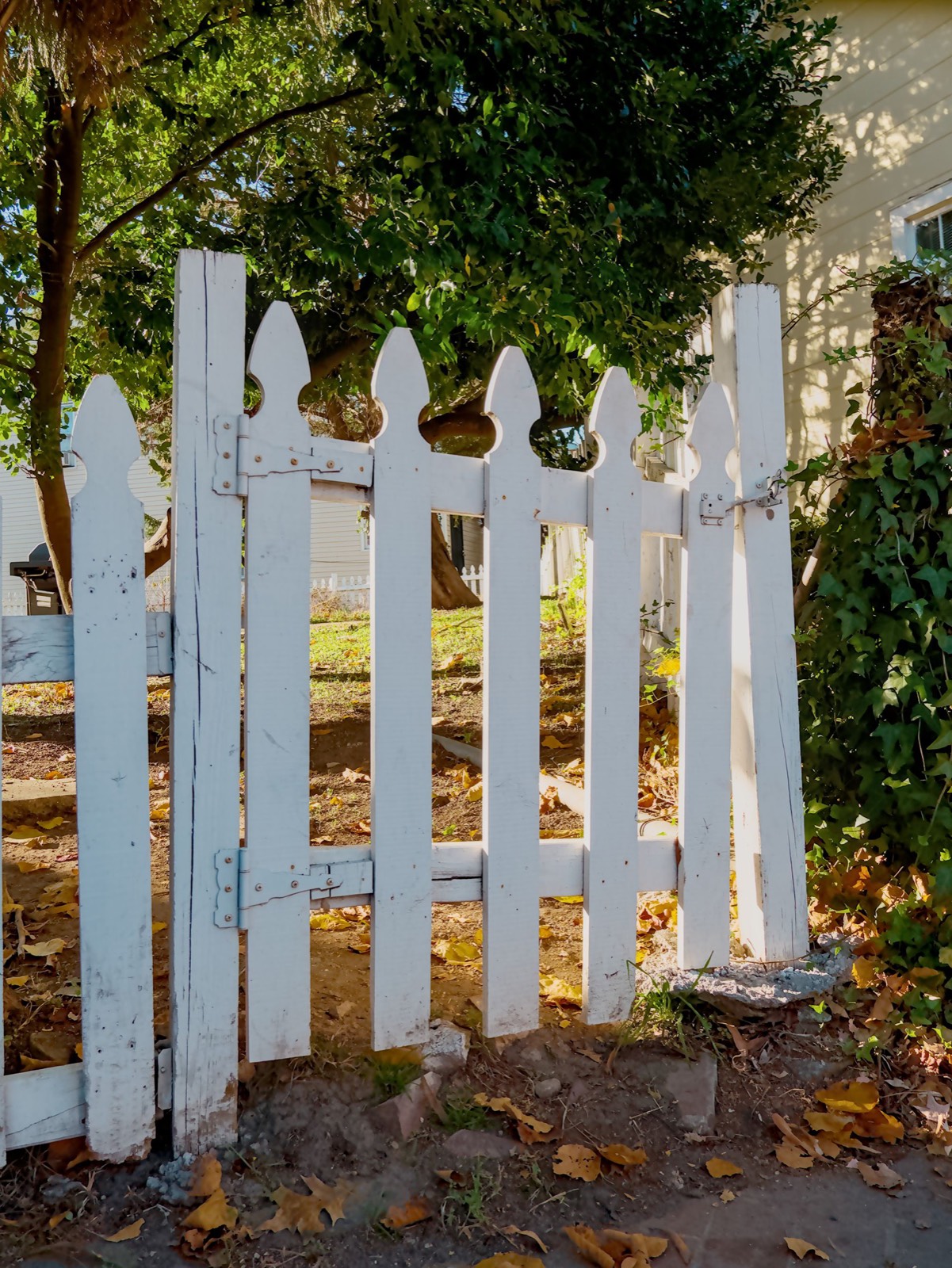 White picket fence